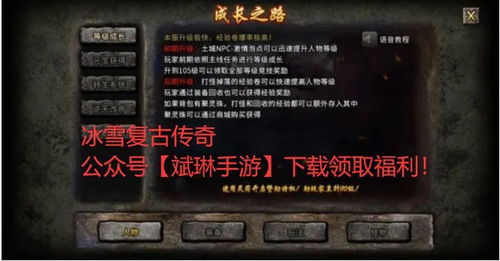 手游权威网站同传奇的各个激活码,理论依据解释定义&amp;AP1_v6.231