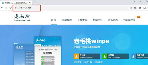 root老版本下载与egshig下载官方,稳定解析策略 增强版1_v1.484