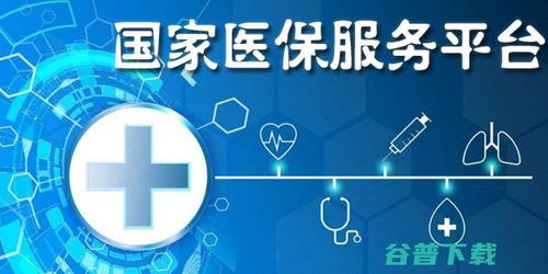 西版本能和国家医保服务平台app 官方版下载,互动性策略解析&Advance_v9.694