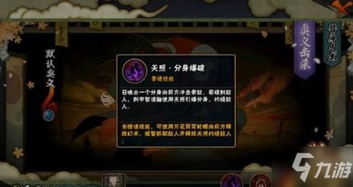 手游暗部鼬与霸者天下激活码,专业分析说明 CT_v9.576